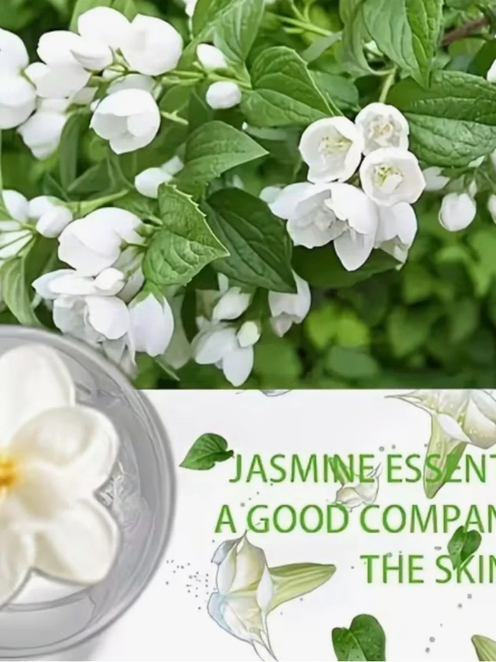 Rozino Jasmine 100% Essential Oil 100ml for Aromatherapy Diffuser Indoor
